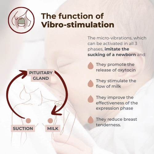 infografica-1264W-EN-4