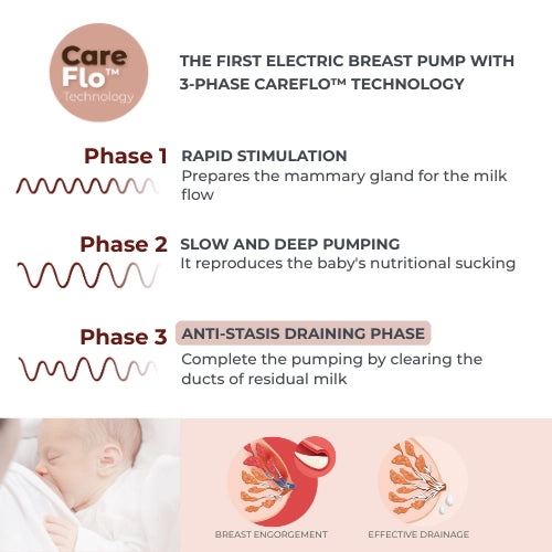 infografica-1287CW-EN-1