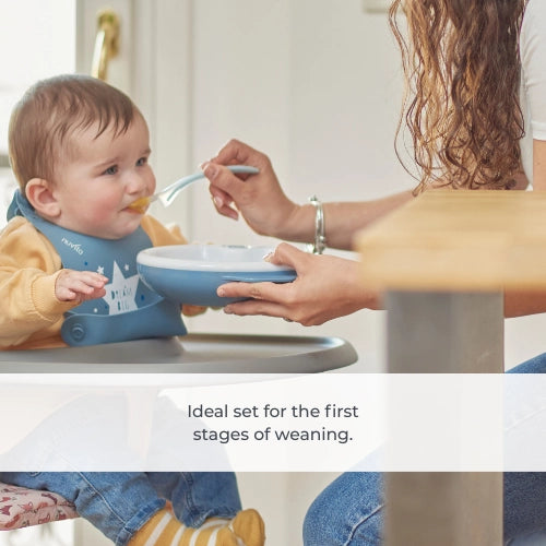 infografica-1491-EN-1