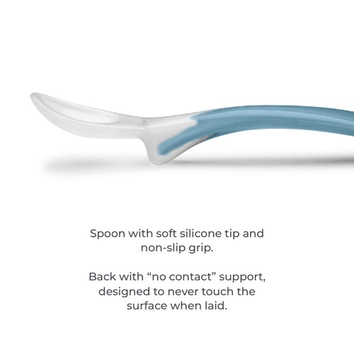 infografica-1491-EN-3