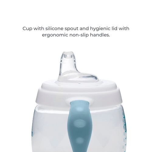 infografica-1491-EN-4