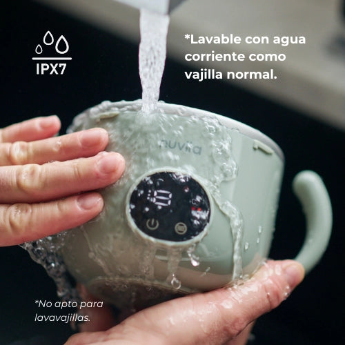 infografica-1980-ES-4