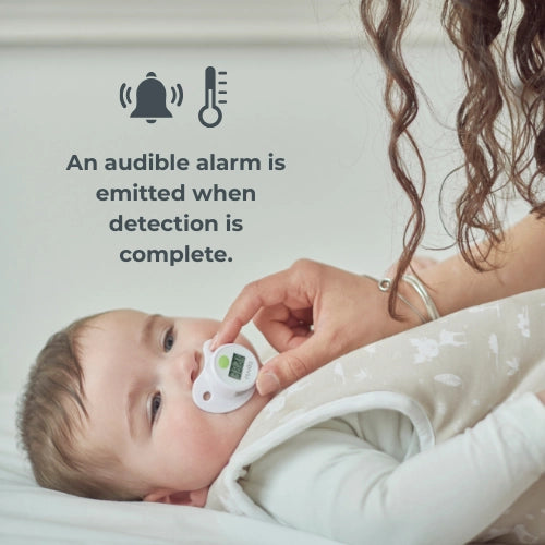 infografica-2010-ES-4