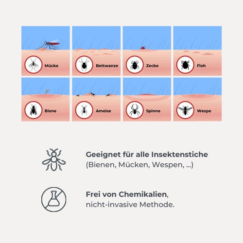 infografica-2110-DE-4