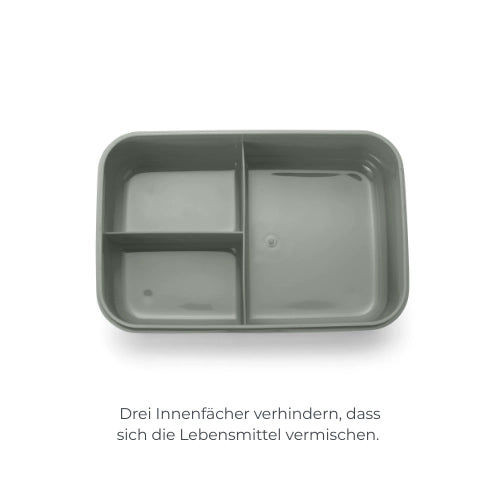 infografica-4430-DE-2