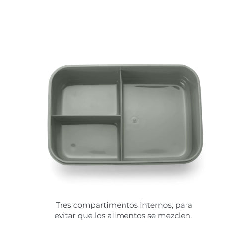 infografica-4430-ES-2