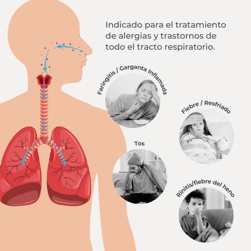 infografica-5023-ES-4