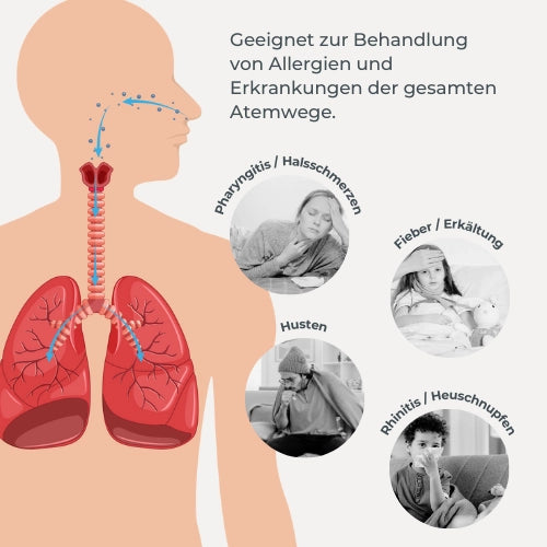 infografica-5030-DE-4