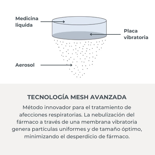 infografica-5078-ES-4