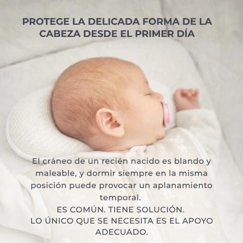 infografica-6505-ES-1