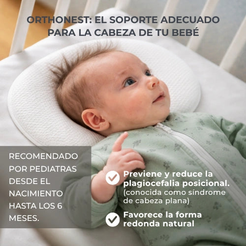 infografica-6505-ES-2