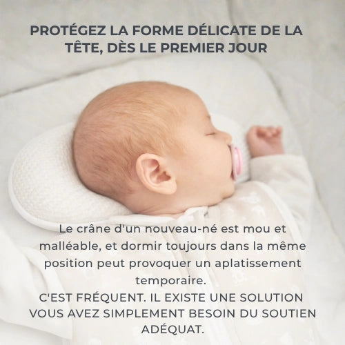 infografica-6505-FR-1