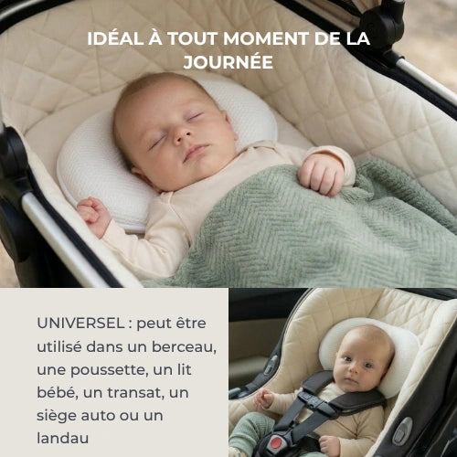 infografica-6505-FR-7