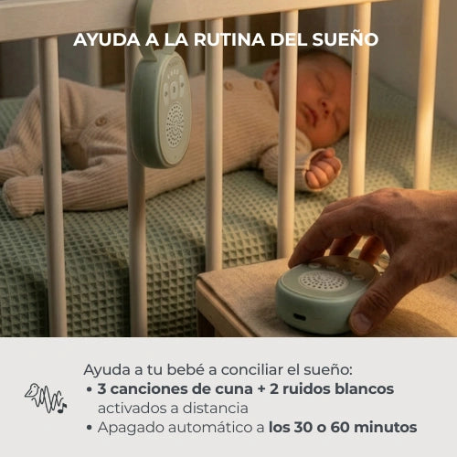 infografiche-3020-ES-4