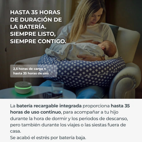 infografiche-6620-ES-5