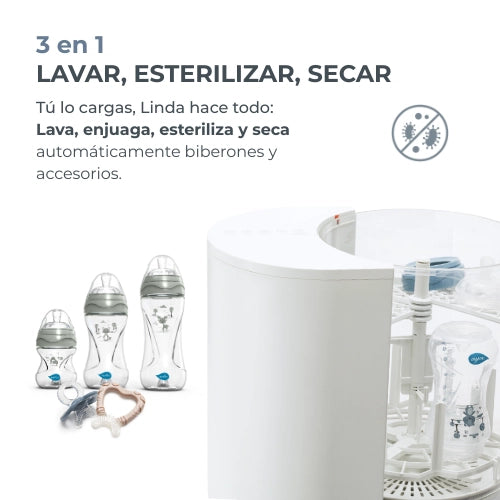 infografiche-linda-ES-1