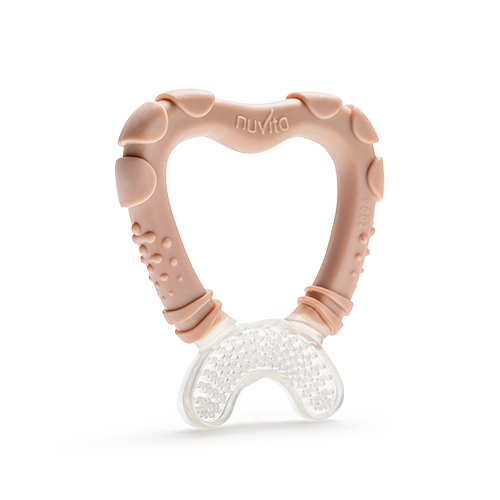 massaggia-gengive-7006-english-rose